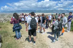 GREW_dani_02_05_26-4-of-121-scaled