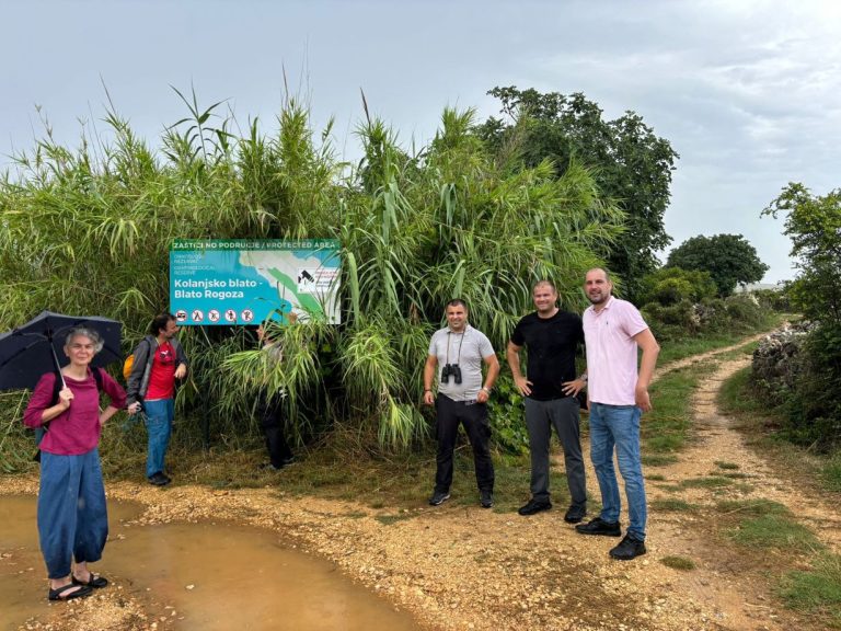 Stručni terenski obilazak Kolanjskog blata : vrijednost jedne od najvažnijih slanih močvara na Jadranu